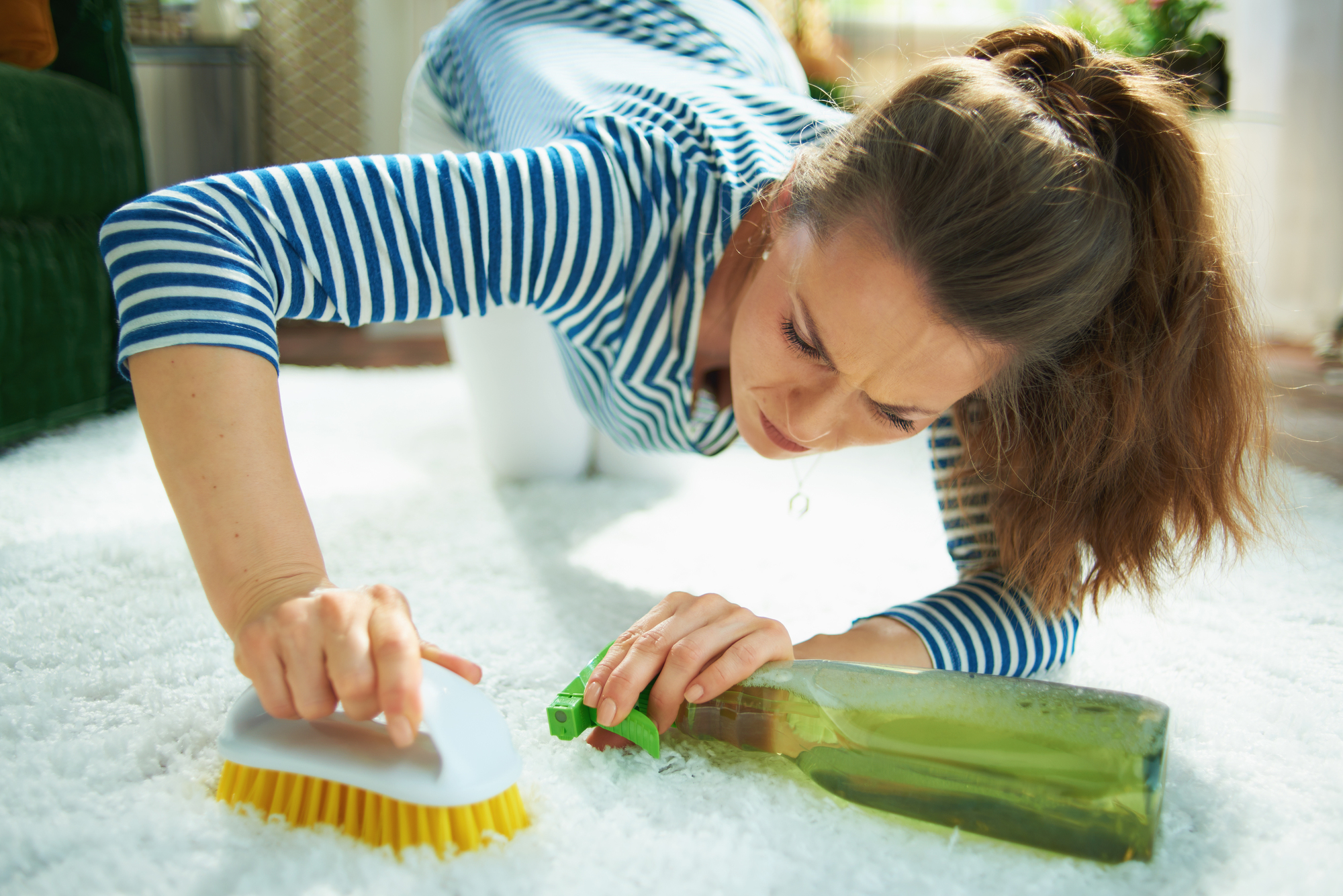 Carpet Cleaning in Burbank CA